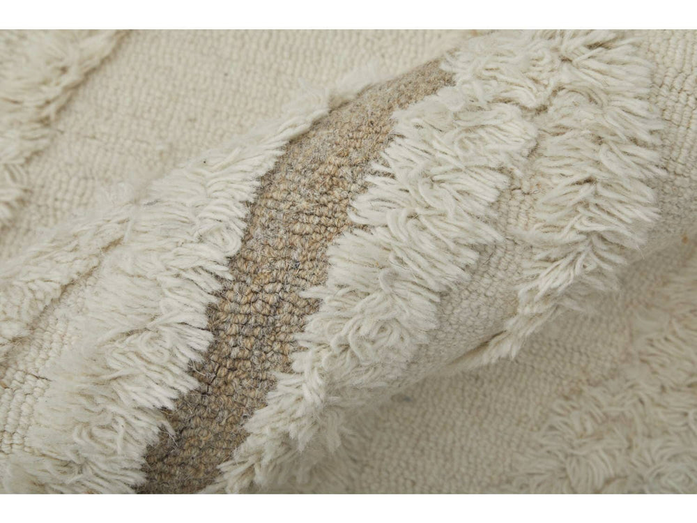 Anica Transitional Geometric - Accent Rug 
