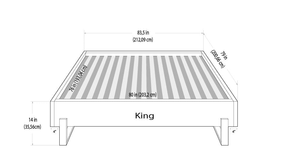 Vant Elevated Platform Bed Brushed Nickel - King Size 