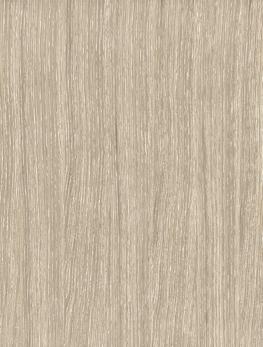 Oak Wood - Cerused White Swatch